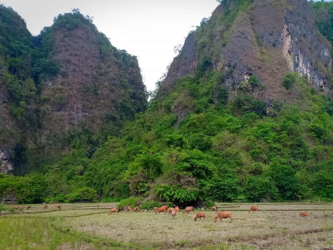 Kampoeng Karst Rammang Rammang Kasijala Exterior foto