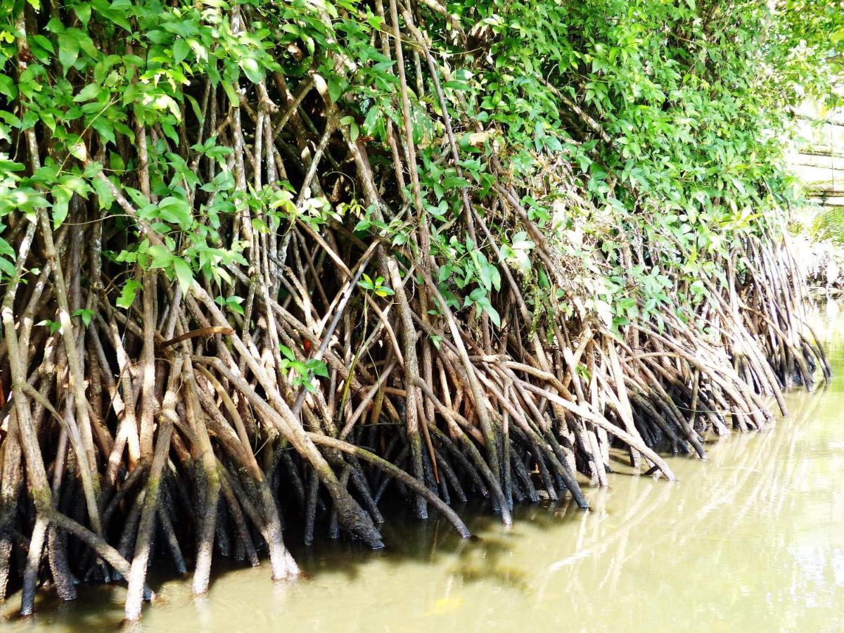Kampoeng Karst Rammang Rammang Kasijala Exterior foto