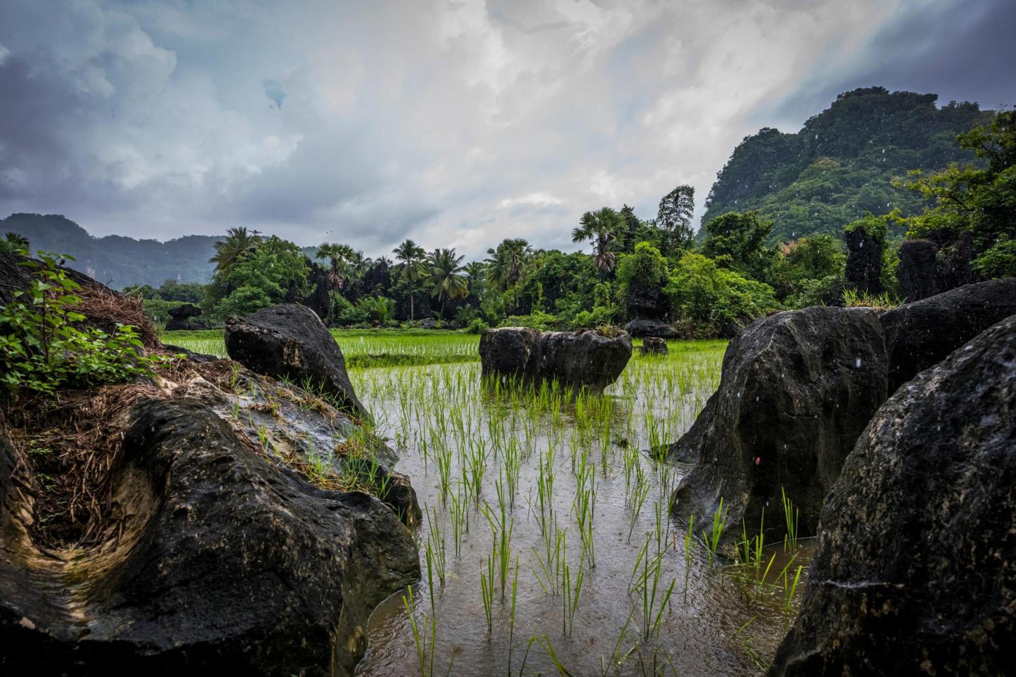 Kampoeng Karst Rammang Rammang Kasijala Exterior foto